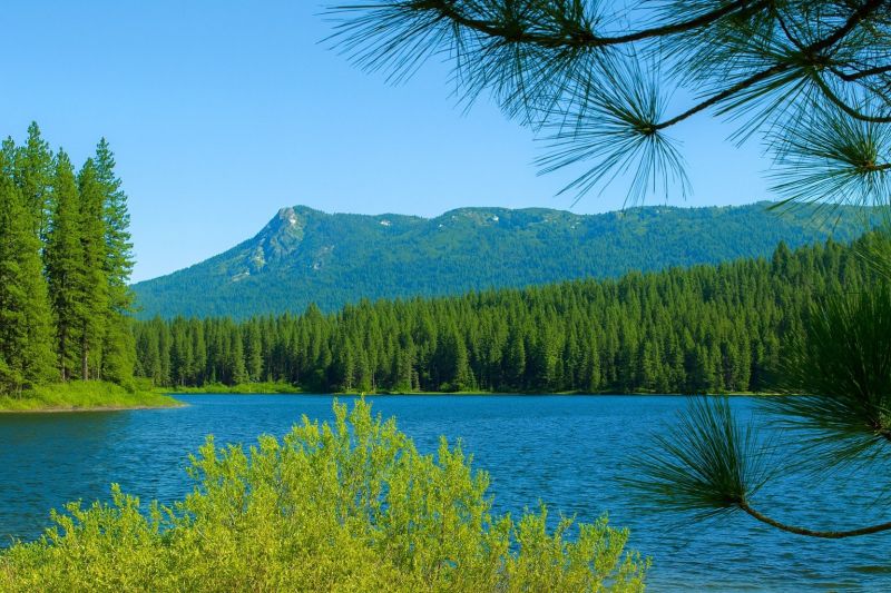 Hero for Home Services Options